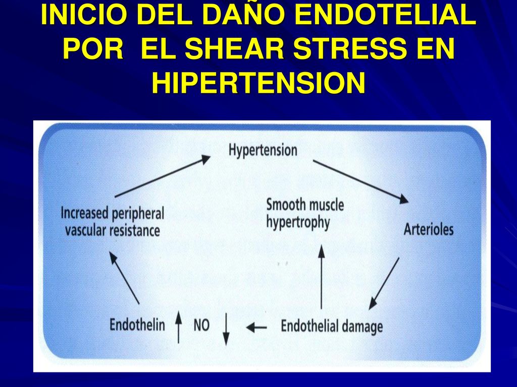 Hipertensión daño endotelial